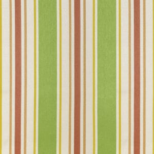 Green cayman stripe fabric