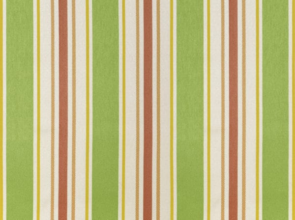 Green cayman stripe fabric