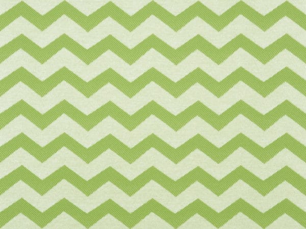 Green and neutral cozumel pattern fabric